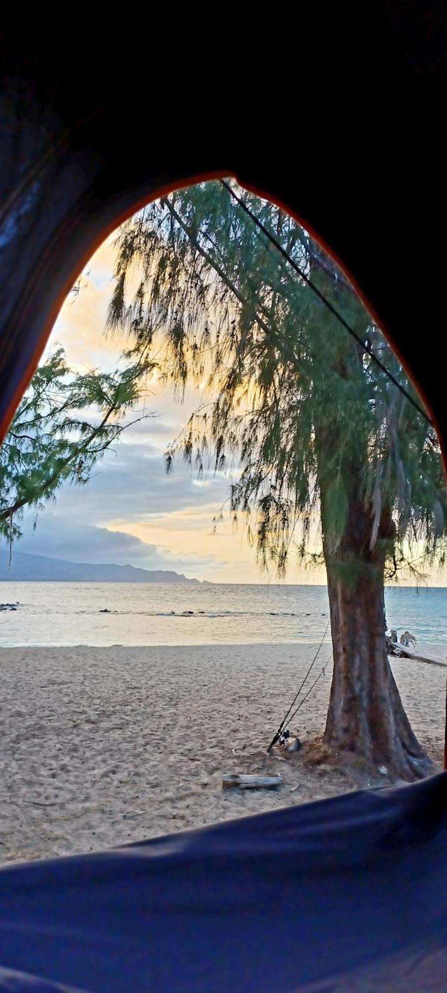 Campcar Maui Jeeps Suvs Hybrid Camper Van Rentals With Equipment And Travel Advice 卡胡卢伊 外观 照片
